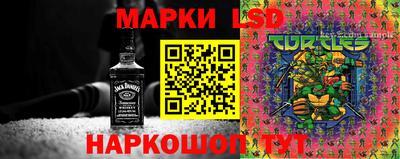 бошки Абакан