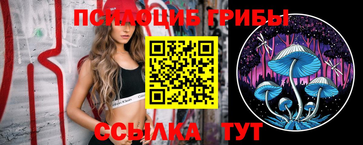 Галлюциногенные грибы MAGIC MUSHROOMS  Вход с VPN  Амурск 